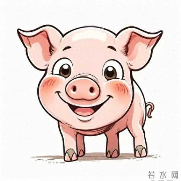 生肖猪，你肯定是顶级的好命才能看到这篇文章