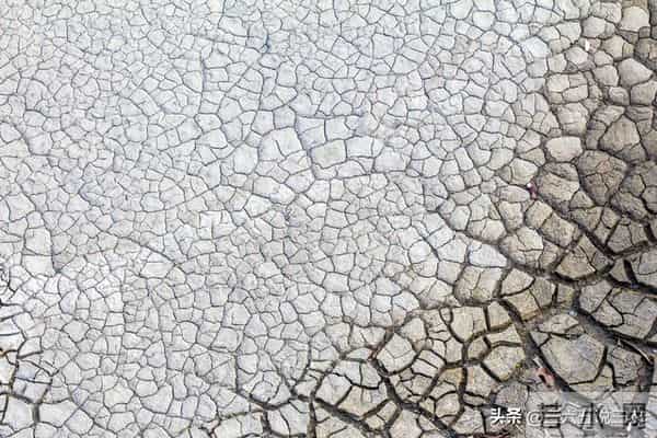 2026丙午马年不一般，老话“七龙治水，红马难耕”，有啥预兆？