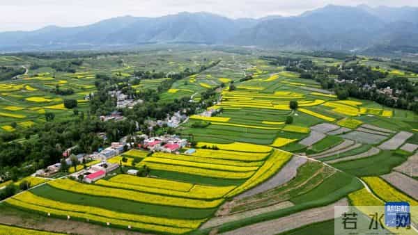 积石凝韵：山河铸魂，新生向阳