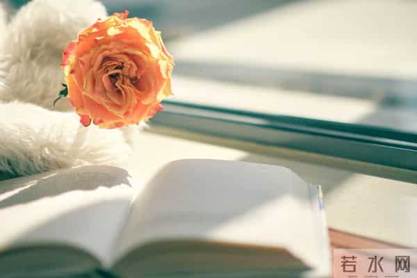 每天为你写首诗【第4613】