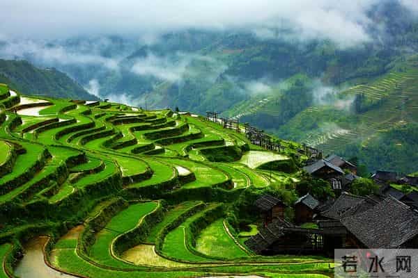 10首优美的七绝诗，领略宋代诗人的生态观，欣赏自然中的诗意栖居