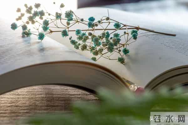 读书只有起点，没有终点：别急着“到站”，享受“旅途”