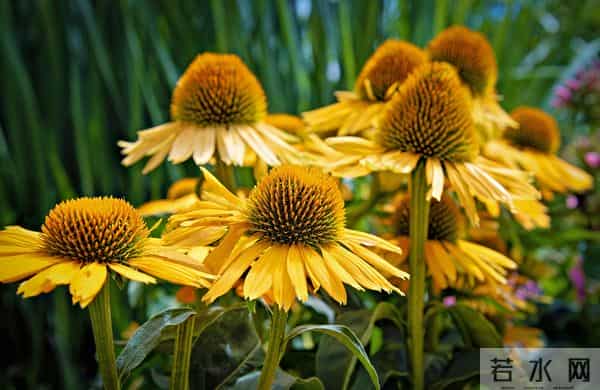 被误读千年的老话！原来我们一直理解错了，尤其第 5 句坑了很多人