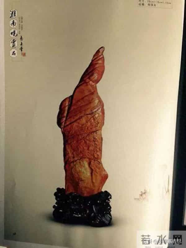 我的“石头收藏家”朋友