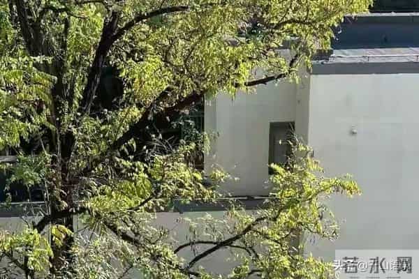 翁帆放弃清华别墅！只守34箱手稿，把爱情过成学术接力