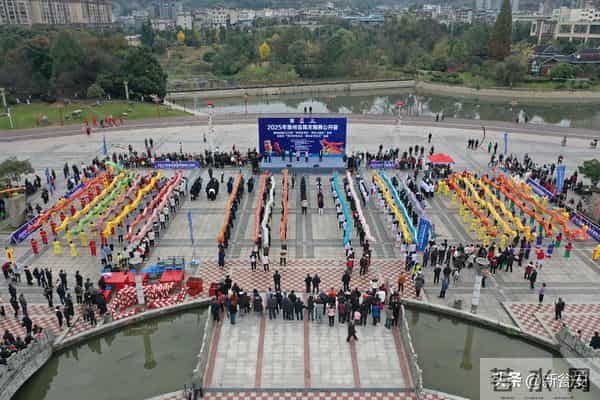 荣耀加冕！贵州省舞龙舞狮公开赛获奖名单