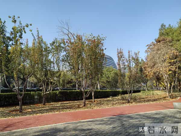 2000年前庄子的5个“破局思维”，治好了我的精神内耗