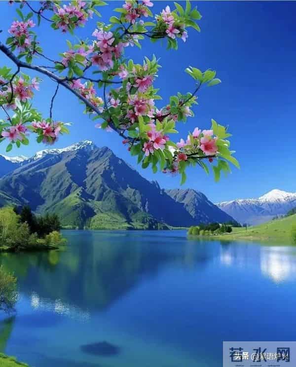 属猪人注意！11月21日能量反转，年底“翻身仗”只需三步走别问！