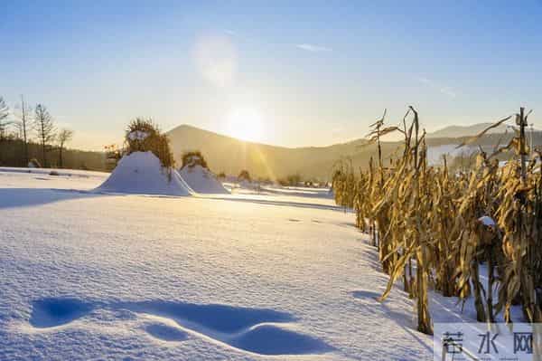 “大雪多不多，就看十月初六”，今日十月初六，今冬雪多冷到哭？