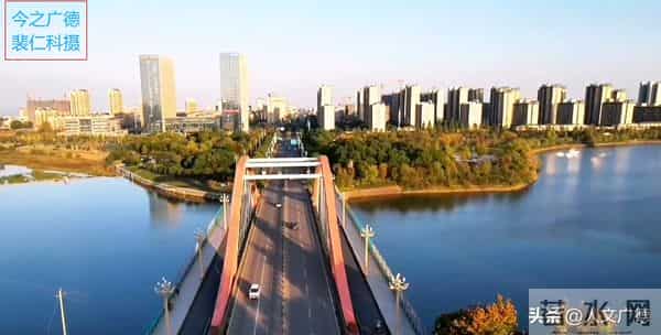 《山海经》里的一种怪物，广德最多！