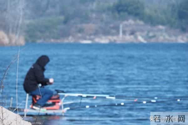 枯叶层叠寄信笺，霜色漫悠寒苍穹；年轮圈刻忆往昔 离情绵绵托鸿雁