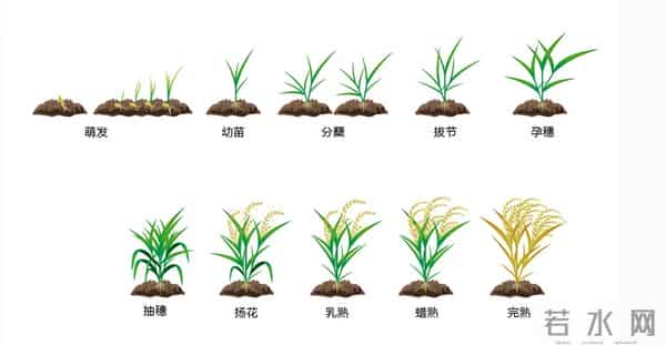 “自常收”甲骨文重新通俗易懂的破译