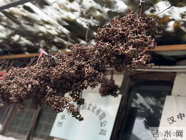 藏在汉中的这些老地方，你都知道吗？