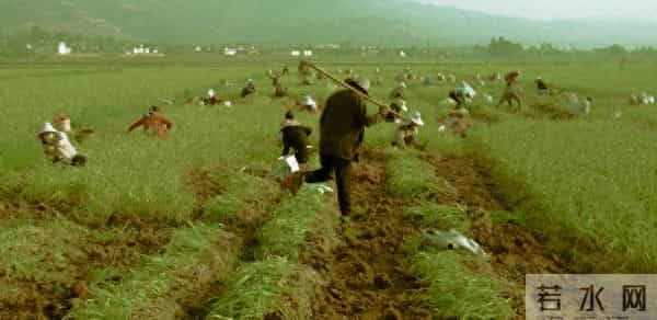 错位的爱情（2）复杂的家庭