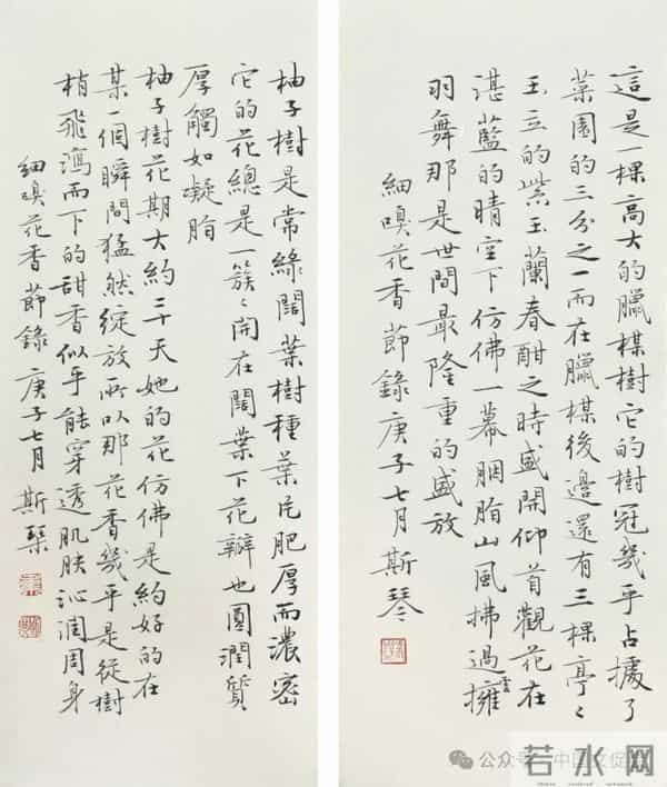 韦斯琴被取消书协理事参选资格，书法大赛评委经历引关联猜测