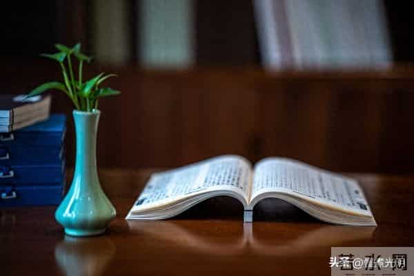 读书只有起点，没有终点：别急着“到站”，享受“旅途”