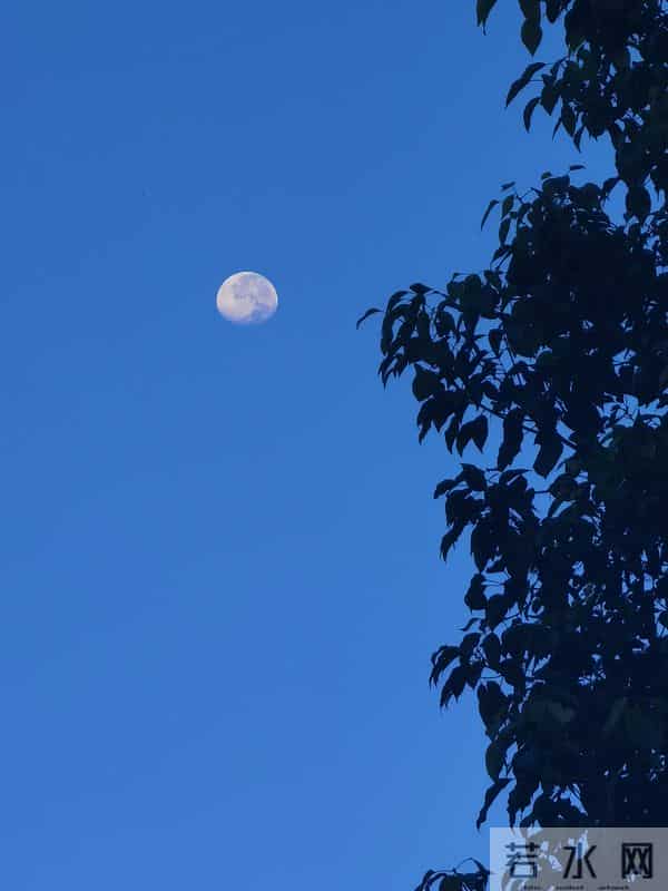 童趣写真诗词三首