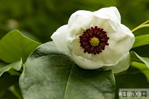 一个人身上有这2个习惯，说明他很聪明、不简单