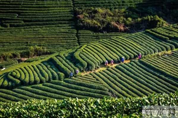 五千高手止步，下联悬而未决！全网静候挑战者，敢来擂台定乾坤吗