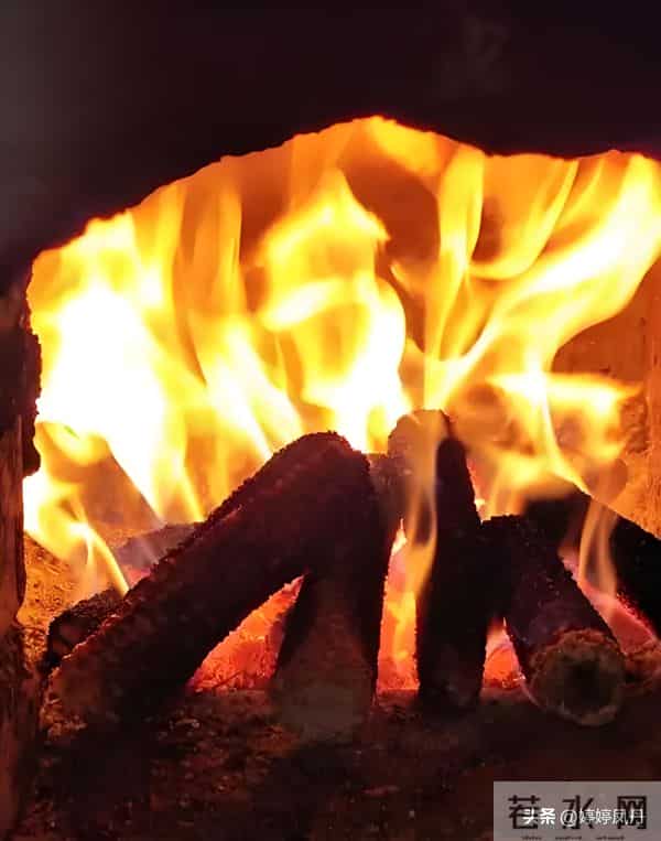 现代组诗.雪中冰霜梅傲骨，炉中焰火醉情禅