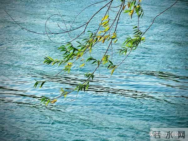 被风喊醒的灵魂（原创）