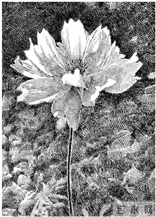 幸福原创画吧2025年第四十四期画友作品分享