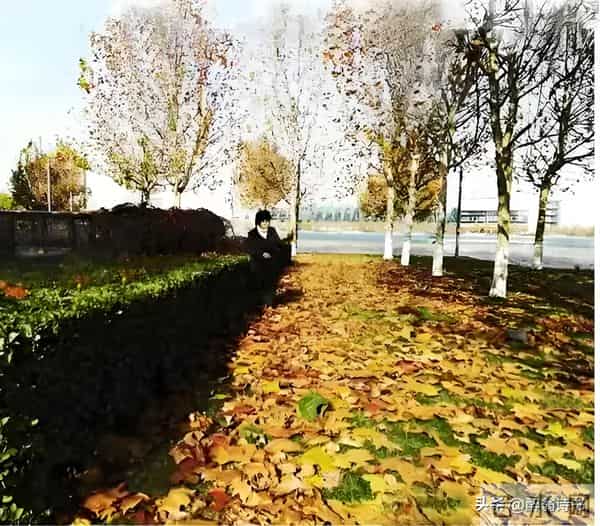 七律·我欠秋天一首诗