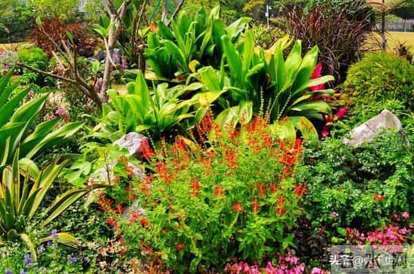 一个人身上有这2个习惯，说明他很聪明、不简单