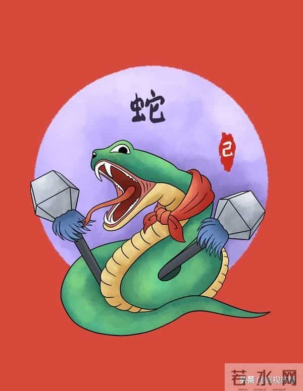 生肖蛇今日运势与宜忌