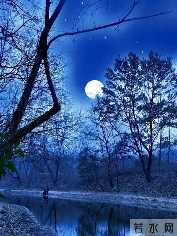 十首经典的寒夜诗词，在寒夜里读上几首，让漫漫寒夜不再寂寞！