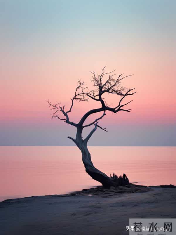 枯树深处见山河：庾信与那篇说尽一生沧桑的千古第一短赋