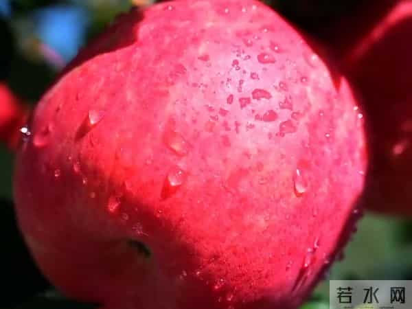 读书分享-多做自己喜欢的事，生活的烦心事才会减少！