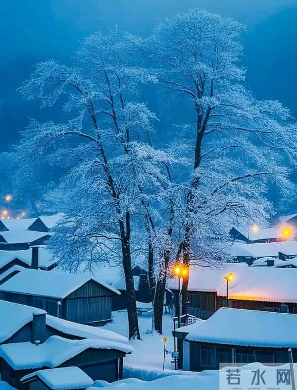 沁园春·雪落枝头 三首