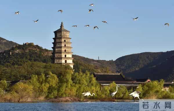 江苏文脉大讲堂 - 连云港方言充满热梗和彩蛋