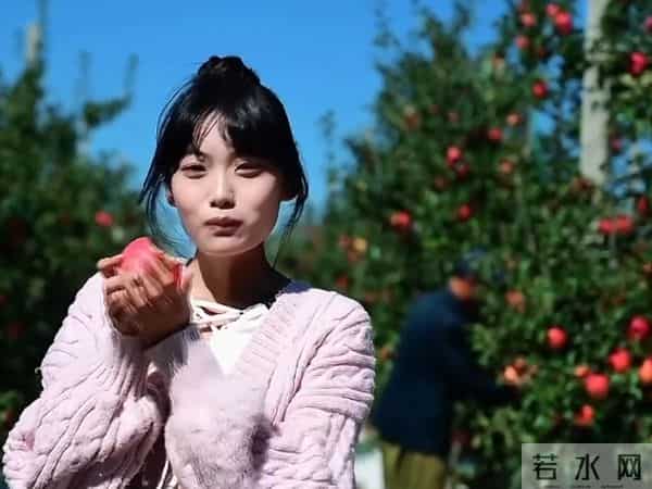 读书分享-多做自己喜欢的事，生活的烦心事才会减少！