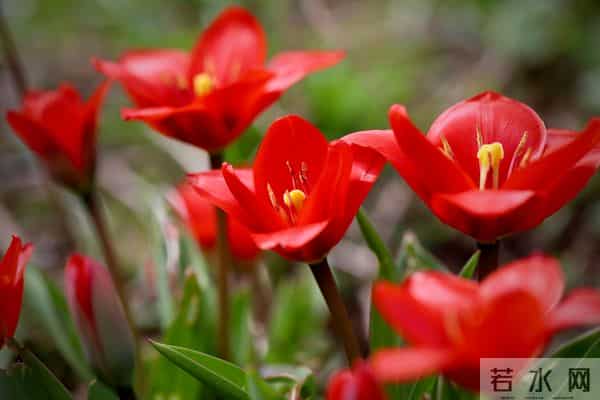 被误读千年的老话！原来我们一直理解错了，尤其第 5 句坑了很多人