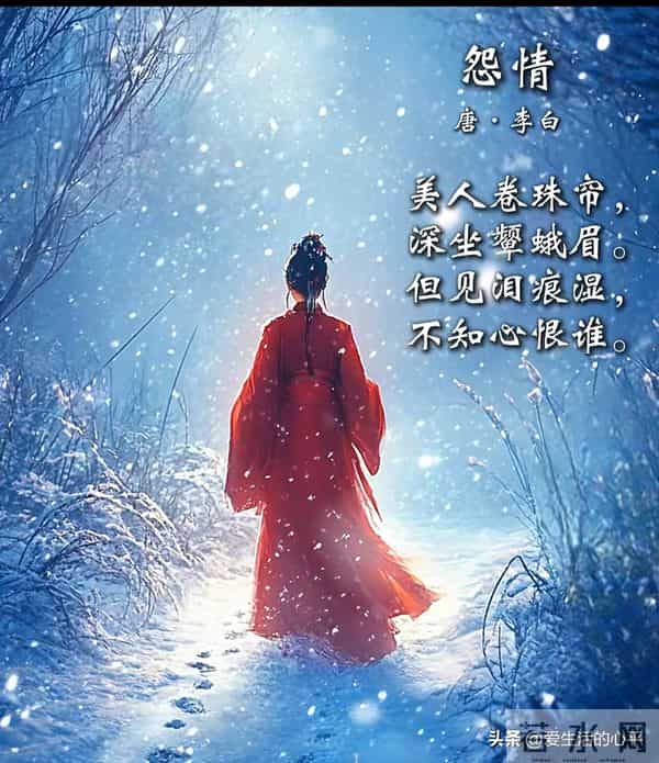 抄书打卡第1024天