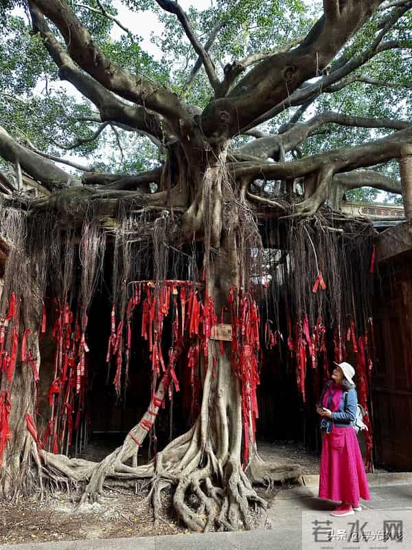 读懂中国每一个县——第93站：福建·泉州·晋江市