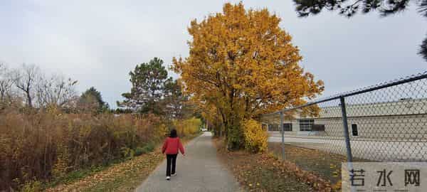 不慎（打油诗）