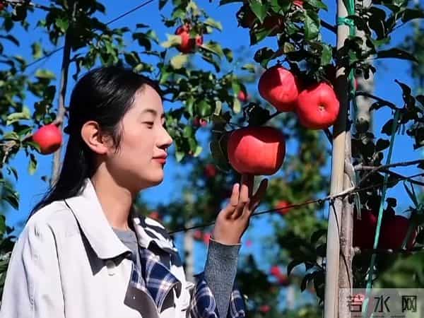 读书分享-多做自己喜欢的事，生活的烦心事才会减少！