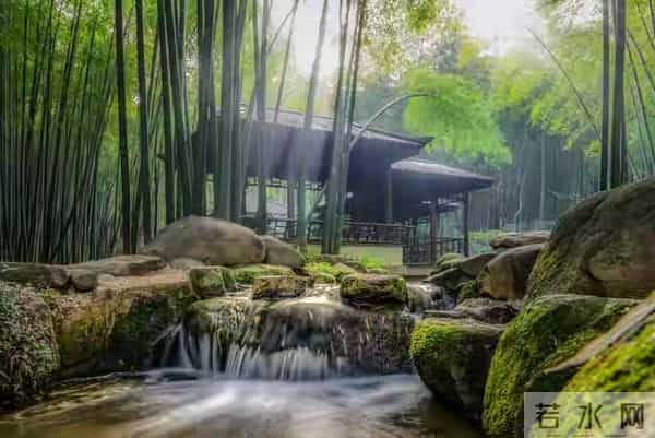 属猪人注意！11月21日能量反转，年底“翻身仗”只需三步走别问！