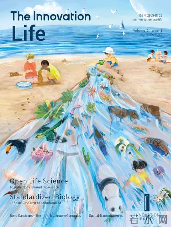 世界屋脊上放烟花：哗众取宠的胡闹 - 魏科