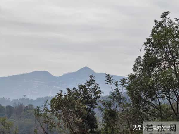 贪狼星五吉形解析