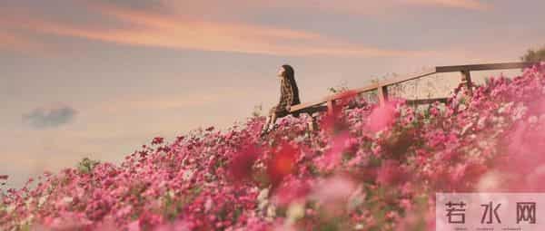 （完）癌症晚期那天，我把离婚协议递给他：傅斯年，我们扯平了下