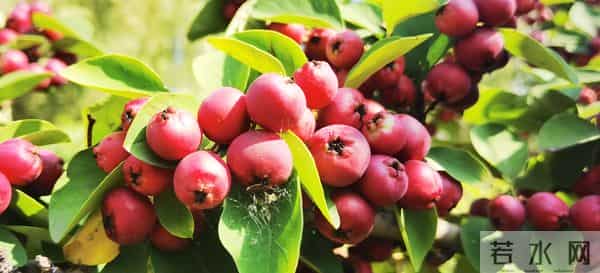 坚持“敢写、会改、走心”形成自己的独特风格，就能让人读出感觉