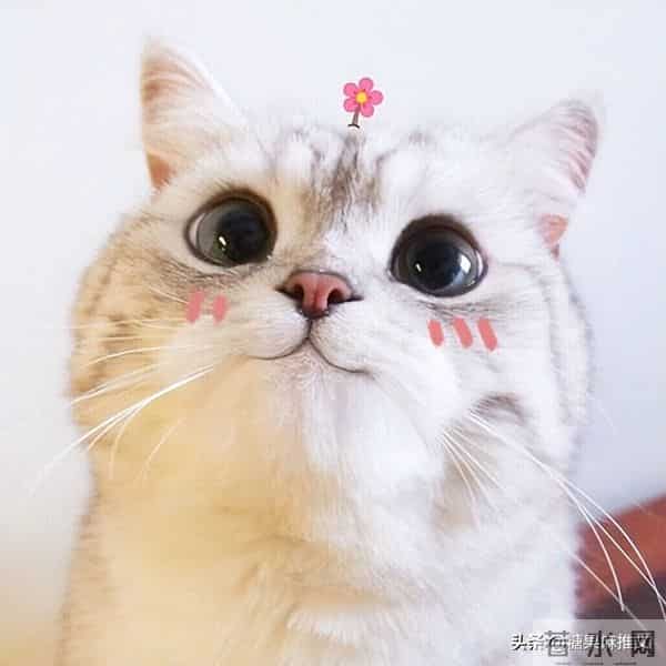 强推-《觉醒后被偏执男主盯上了[快穿]》作者：长亭剑下