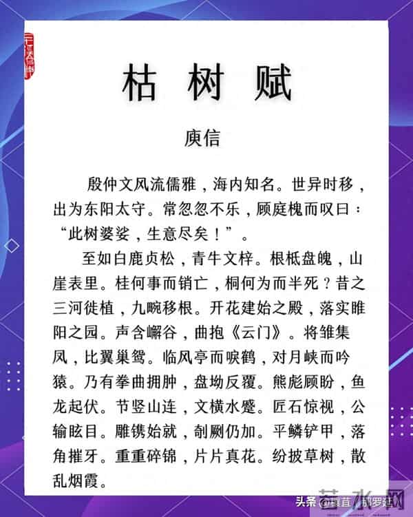 枯树深处见山河：庾信与那篇说尽一生沧桑的千古第一短赋