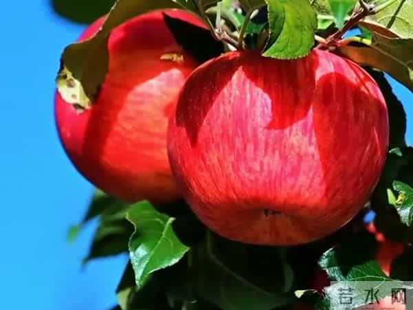 读书分享-多做自己喜欢的事，生活的烦心事才会减少！