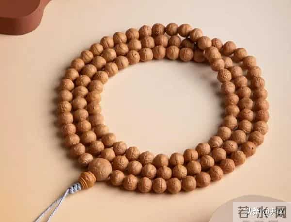 树籽手串王者排行榜