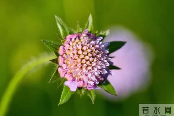 被误读千年的老话！原来我们一直理解错了，尤其第 5 句坑了很多人